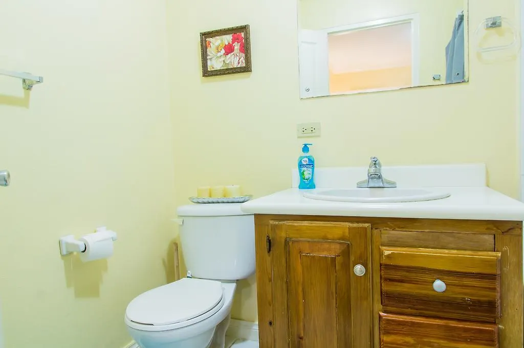Elegant City Condo In New Kingston Apartament